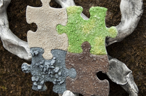 Quivering in Quarantine