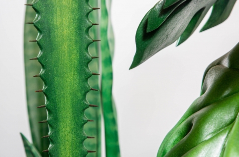 Australian Muslim Artists 2020