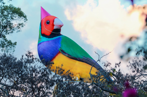 Messengers of Brisbane