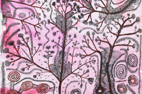 Peter Mungkuri OAM: Nganana Ngura Nganampa Ninti - We Know Our Country Well