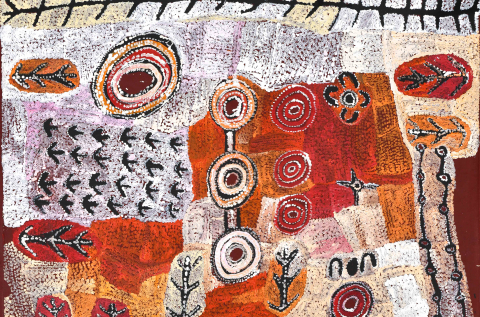 Alec Baker: Nganana Ngura Nganampa Ninti - We Know Our Country Well