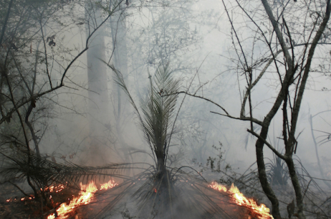 LUCILLE MARTIN | RIGHT FIRE