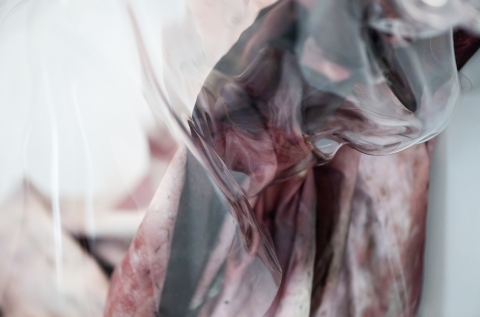 Opening of Jeremy Blincoe > The Fragile Skin of the World